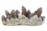 Sparkling Smoky Amethyst Cactus Crystal Cluster - South Africa #373462-1